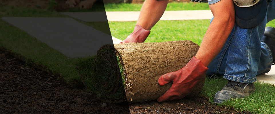 Washingtonville Landscapers